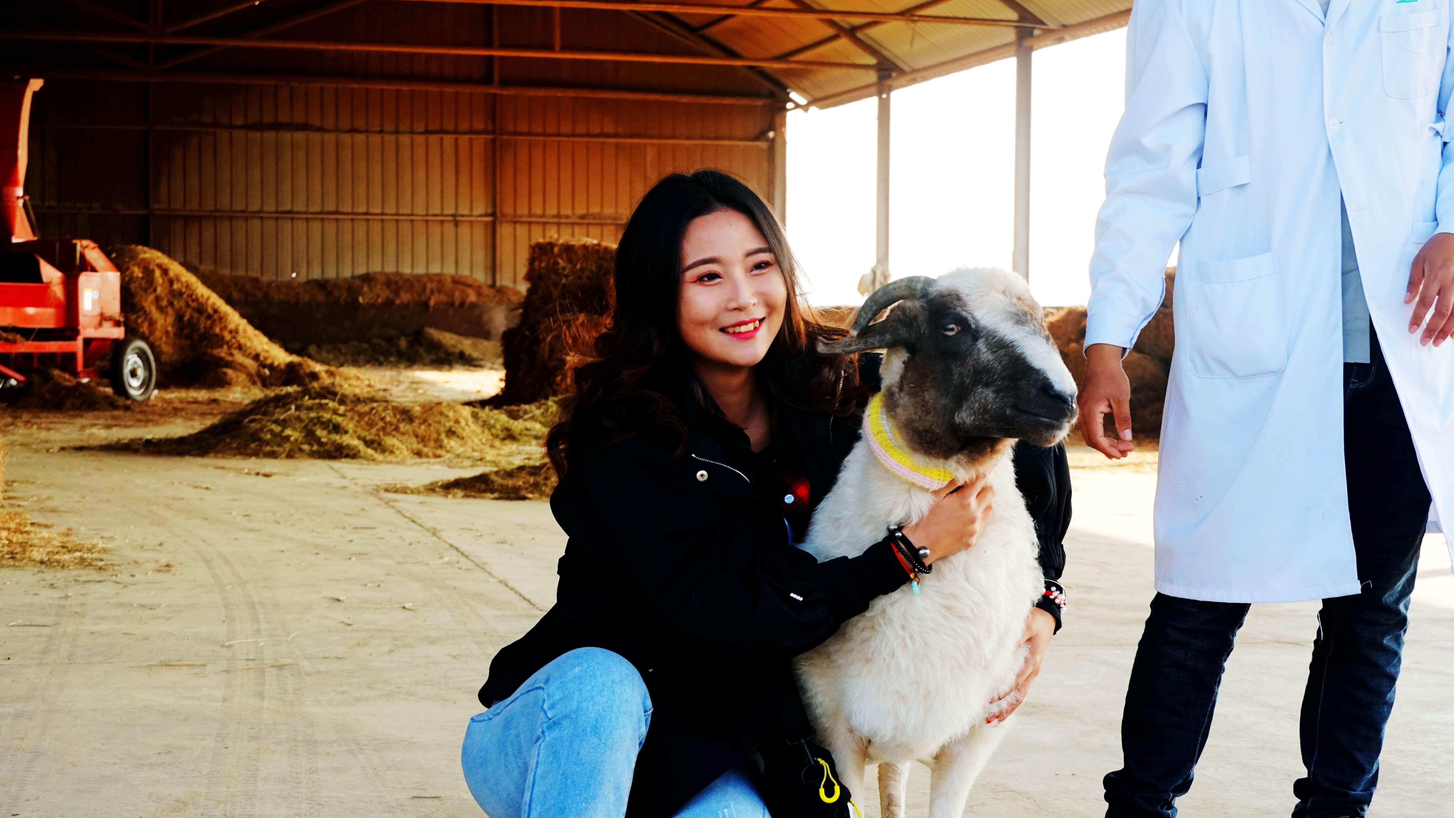 硒砂瓜产品介绍视频（硒砂瓜价格）-硒宝网