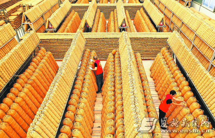 有机硒的产品有哪些(有机硒原料)-硒宝网