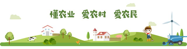 含锌硒的产品有什么(锌硒含量高的食物有哪些)-硒宝网