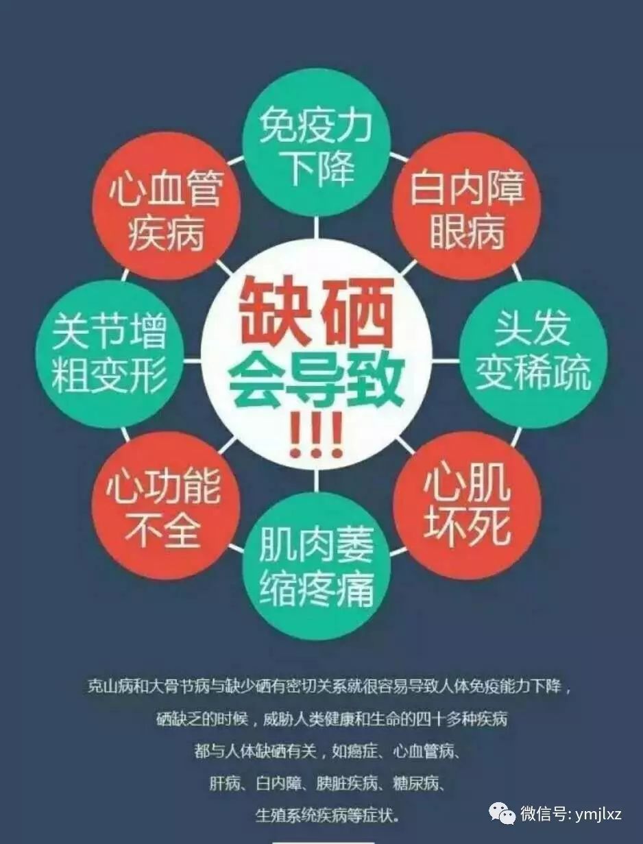 含锌硒的产品有什么（富含锌硒）-硒宝网