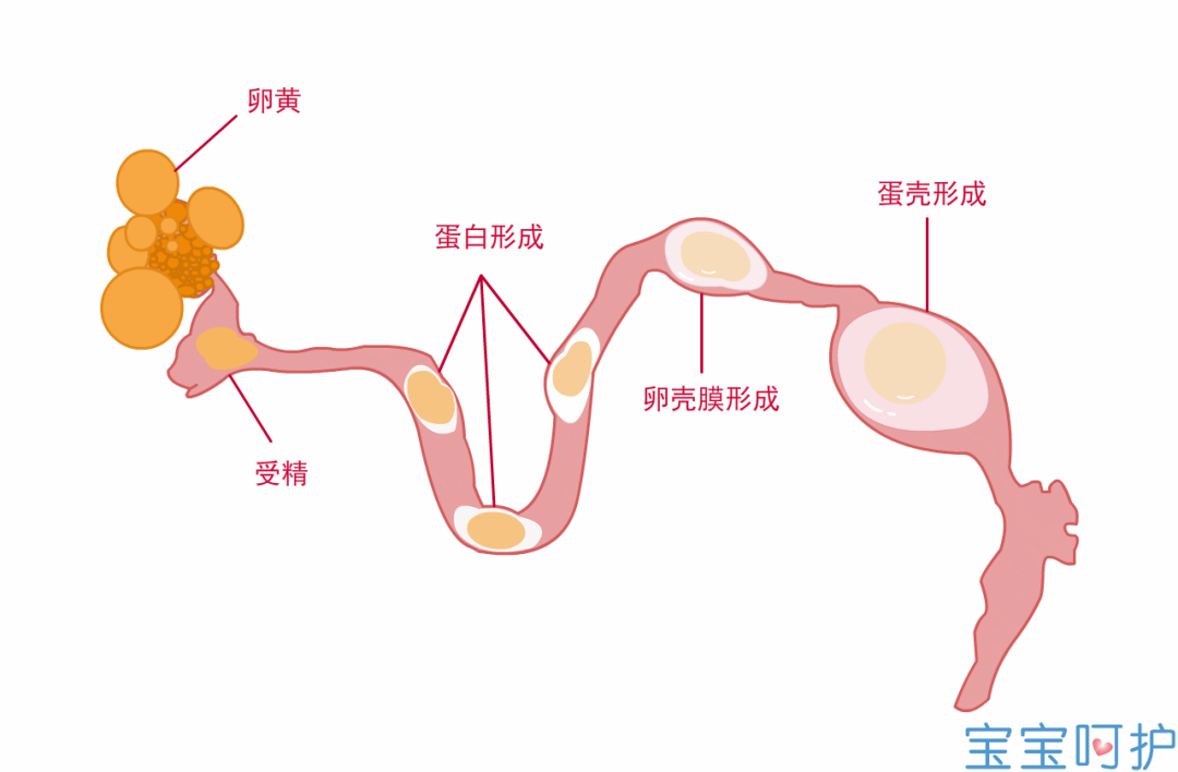 幼儿可以吃硒产品吗（吃幼儿产品硒可以吃多久）-硒宝网