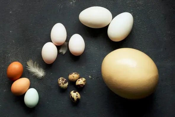 幼儿可以吃硒产品吗（吃幼儿产品硒可以吃多久）-硒宝网