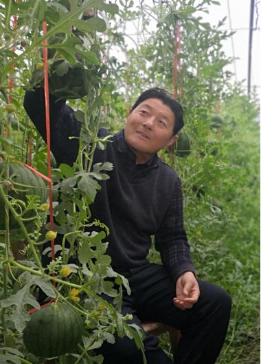 意众硒元素产品好吗（益元素怎么样）-硒宝网