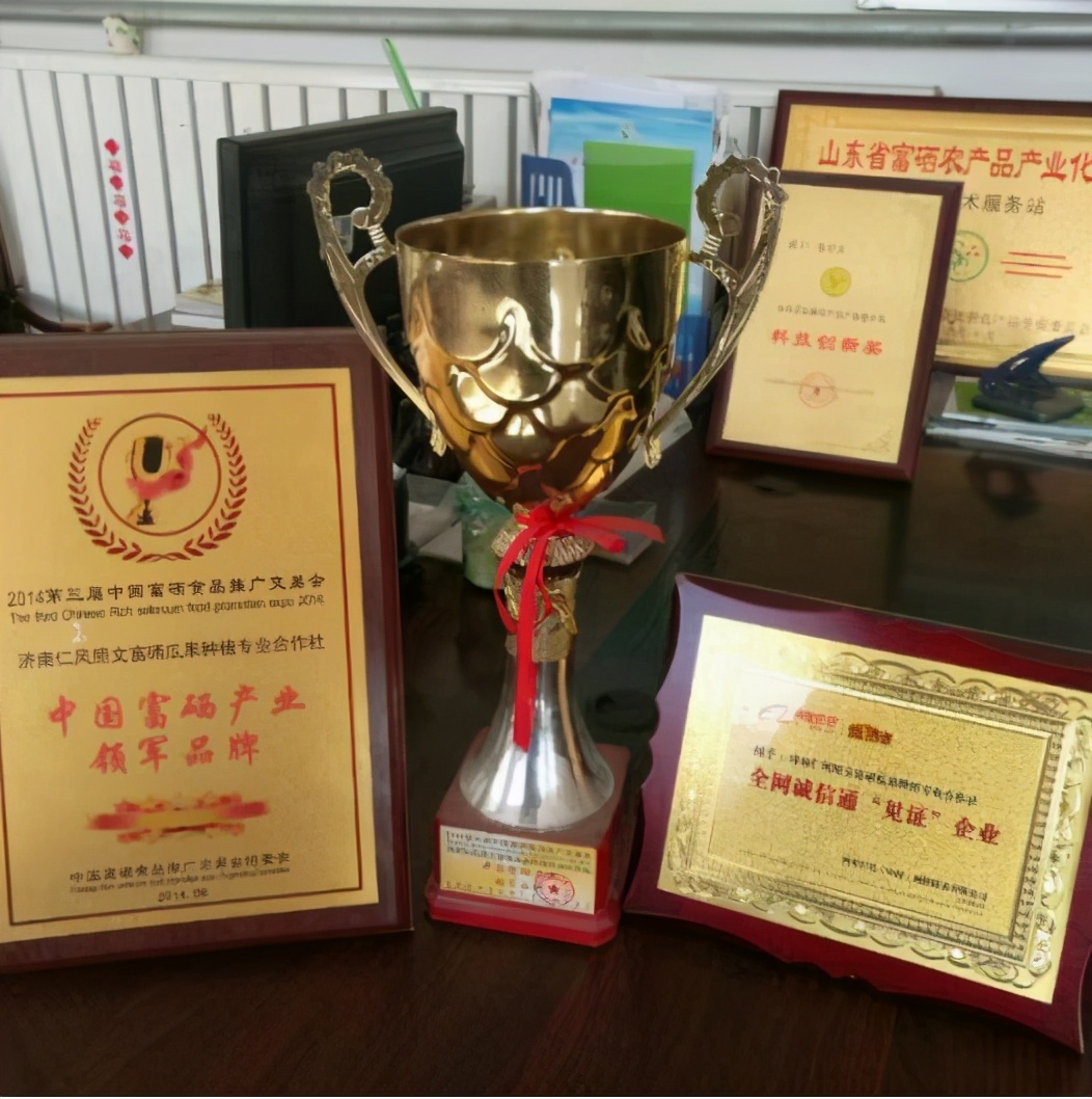 意众硒元素产品好吗（益元素怎么样）-硒宝网