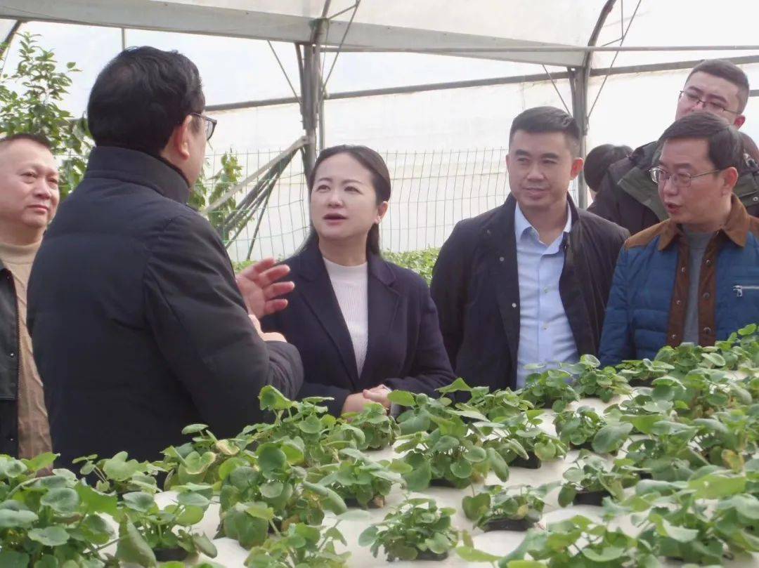 湖北恩施德源硒产品(恩施硒德生物有限公司)-硒宝网