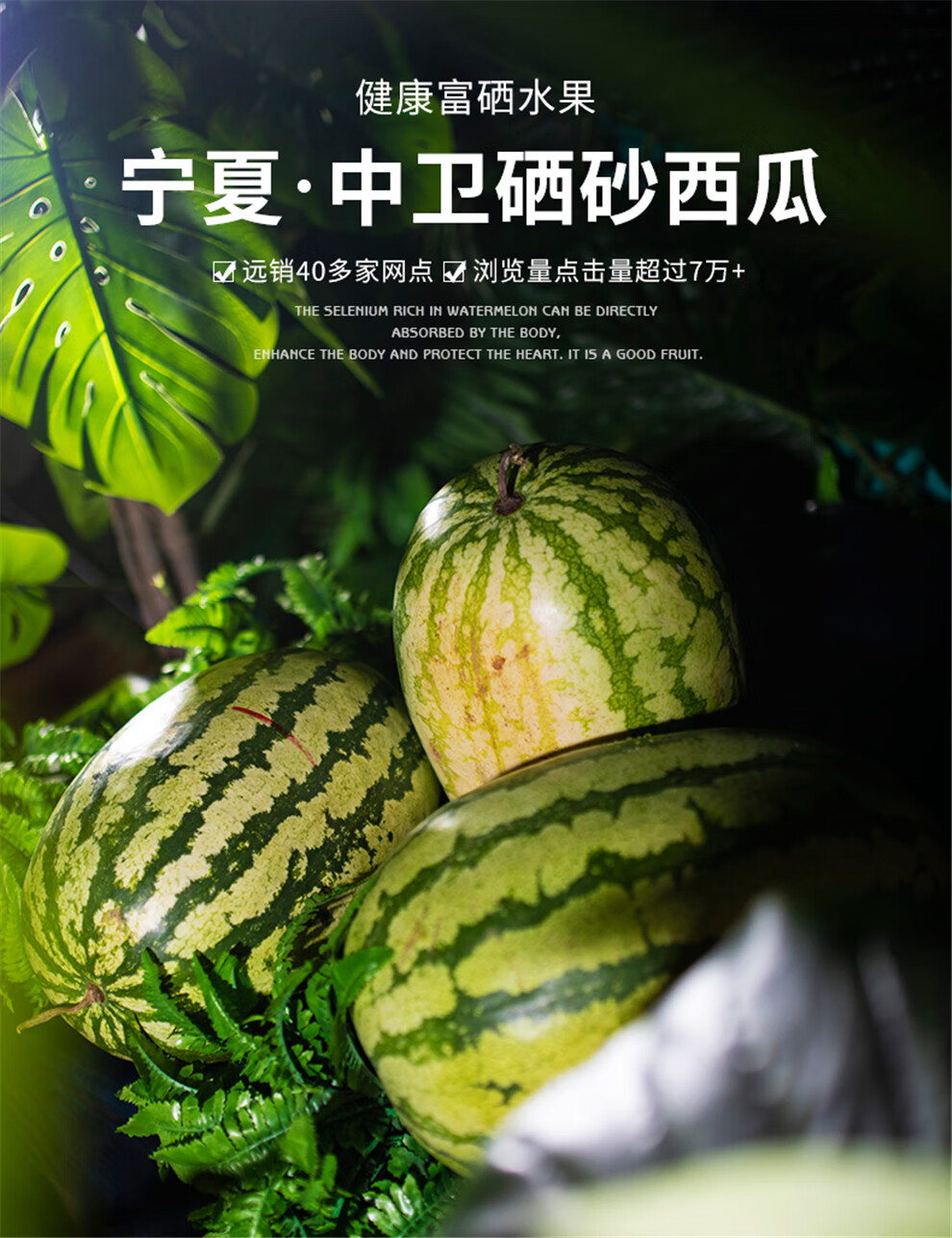 宁夏硒砂瓜产品分析（宁夏硒砂瓜产品分析）-硒宝网