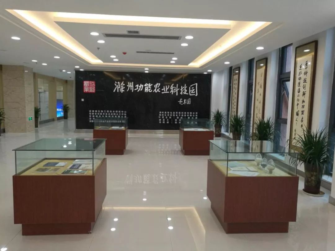 硒砂瓜产品介绍图文（硒砂瓜的简笔画）-硒宝网