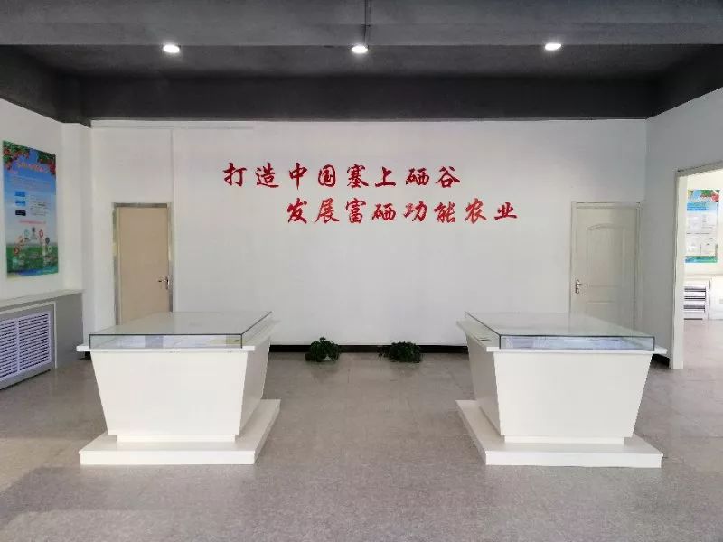 硒砂瓜产品介绍图文（硒砂瓜的简笔画）-硒宝网