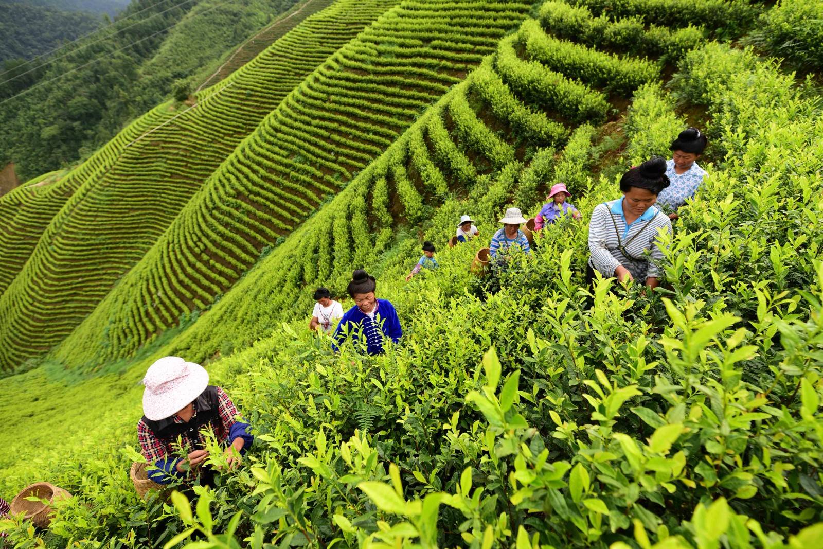 中国硒产品交易中心(全国首家硒产品现货交易平台)-硒宝网