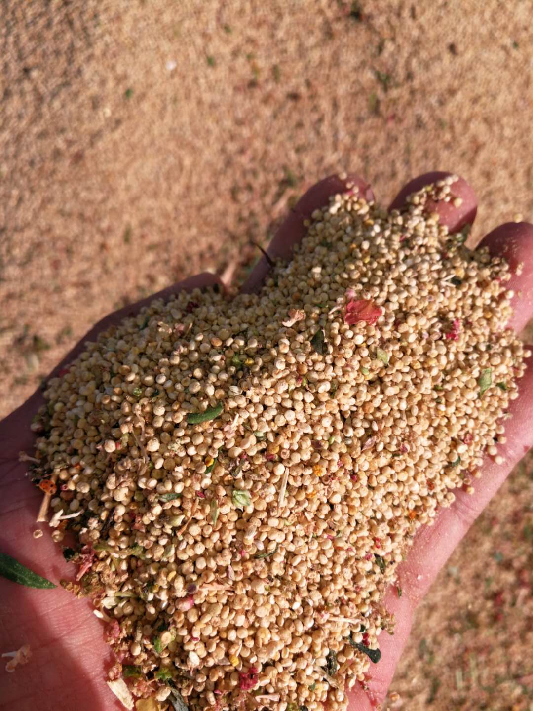 那家生产藜麦硒产品(藜麦硒)-硒宝网