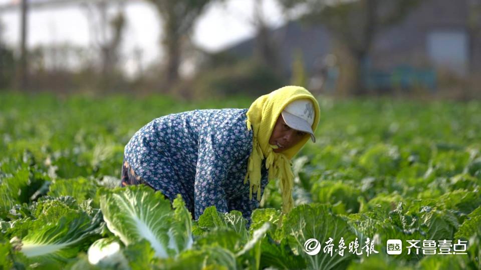 淘宝卖硒产品怎么样（开淘宝店卖虚拟产品）-硒宝网