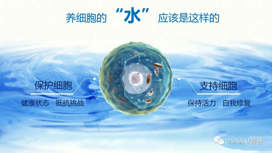 维生素硒有什么产品(硒的维生素)-硒宝网