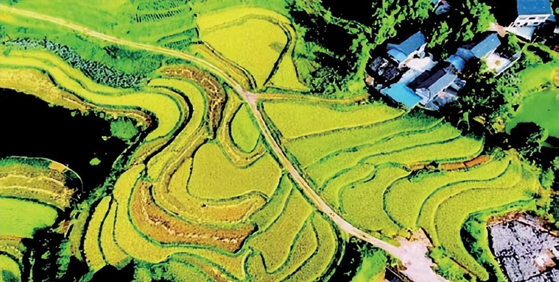 硒品牌产品有那I些(硒的产品哪种好)-硒宝网