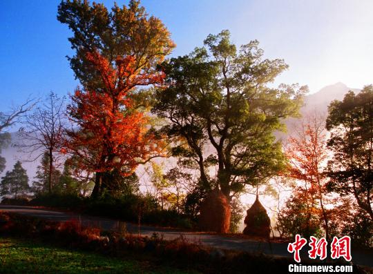 中国富硒农产品标志(富硒标志认证)-硒宝网