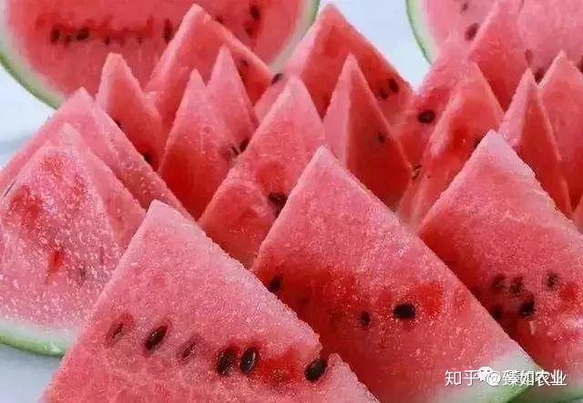 硒元素农产品有那些（硒元素是什么蔬菜和水果）-硒宝网