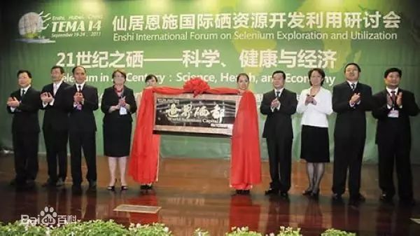 恩施硒产品十大企业(恩施硒产业前十企业)-硒宝网