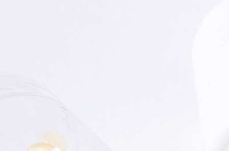 孕中期补钙吃什么钙片比较好（孕中期补钙吃钙片好比较好吗）-硒宝网