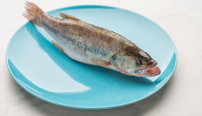 水产品鱼类含硒微克(水产微克品含鱼类硒多少)-硒宝网