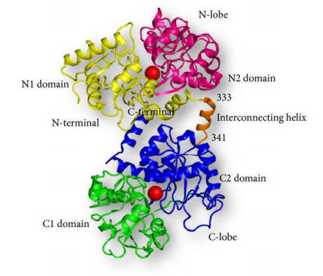 小孩吃什么补铁（小孩吃补铁的药大便会变黑吗）-硒宝网