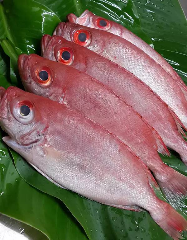 水产品鱼类含硒微克(水产品含有哪种微量元素)-硒宝网