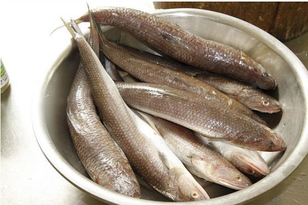 水产品鱼类含硒微克(水产品含有哪种微量元素)-硒宝网