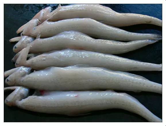 水产品鱼类含硒微克(水产品含有哪种微量元素)-硒宝网