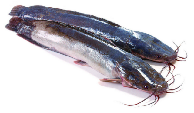 水产品鱼类含硒微克(水产品含有哪种微量元素)-硒宝网