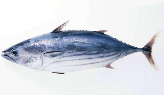 水产品鱼类含硒微克(水产品含有哪种微量元素)-硒宝网