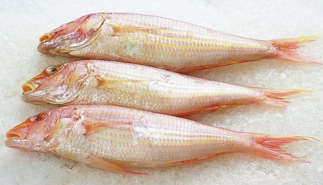 水产品鱼类含硒微克(水产品含有哪种微量元素)-硒宝网