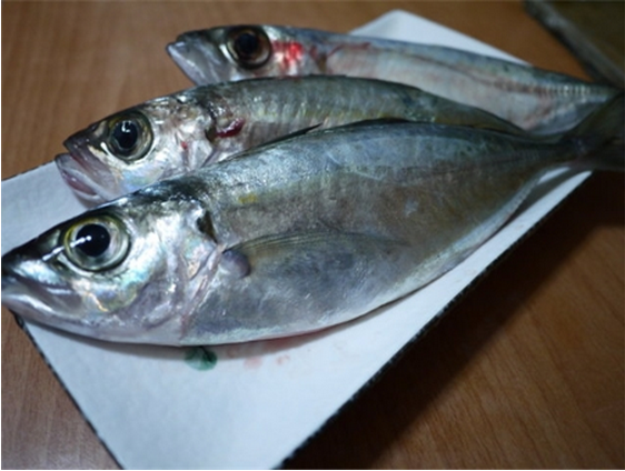 水产品鱼类含硒微克(水产品含有哪种微量元素)-硒宝网