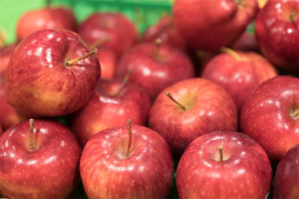 福建寿宁县硒锌产品(寿宁锌橙简介)-硒宝网