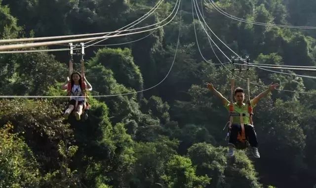 硒陶产品亮相博览会（近期陶博会参展公司）-硒宝网