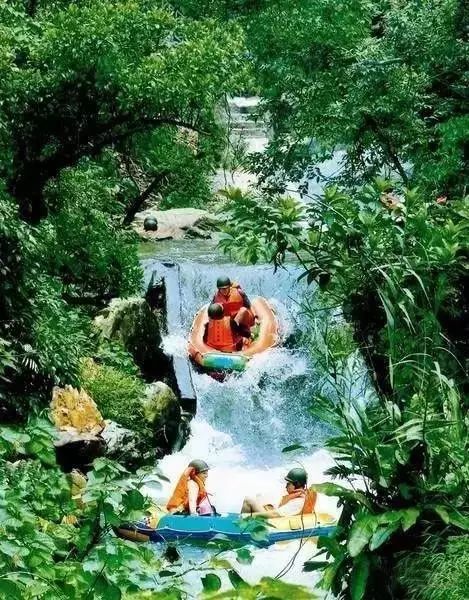 硒陶产品亮相博览会（近期陶博会参展公司）-硒宝网