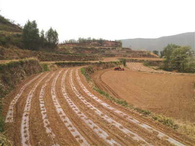 硒农产品有哪些品种（农品种产品硒有什么作用）-硒宝网