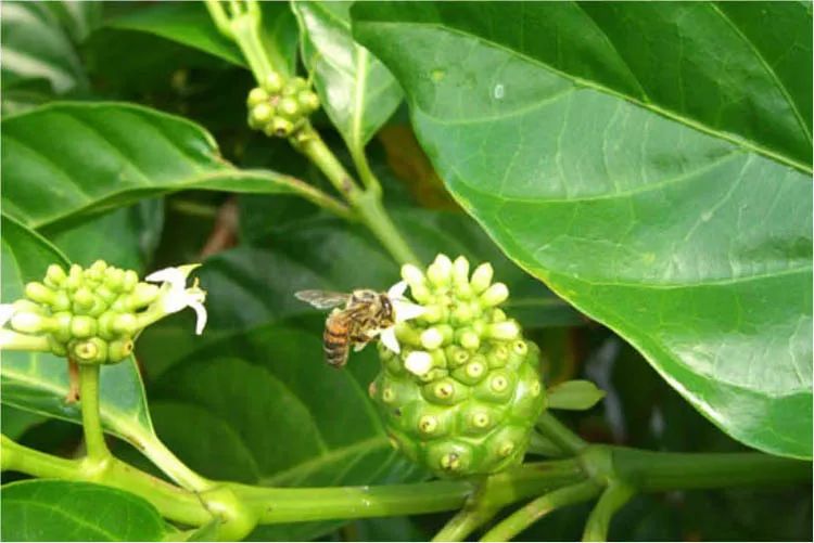 和硒对比的抗衰产品(硒能抗衰老助长寿吗)-硒宝网