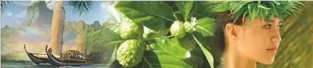 和硒对比的抗衰产品(硒能抗衰老助长寿吗)-硒宝网