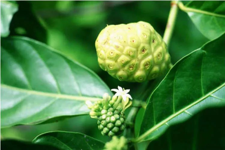 和硒对比的抗衰产品(硒能抗衰老助长寿吗)-硒宝网