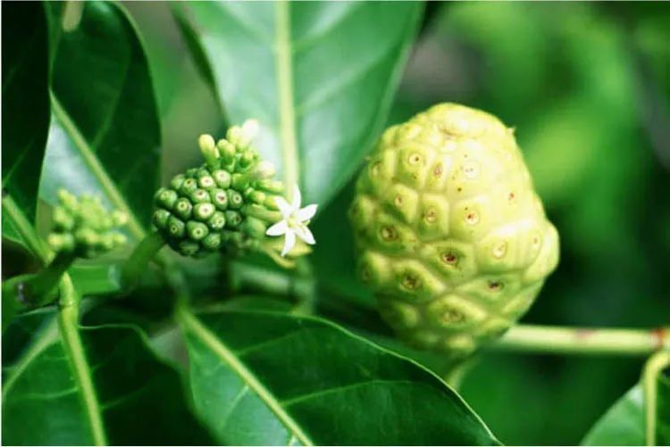 和硒对比的抗衰产品(硒能抗衰老助长寿吗)-硒宝网