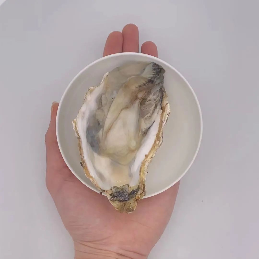 生蚝补锌(生蚝补锌好吗)-硒宝网