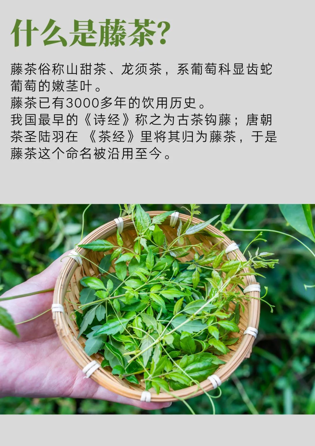 和硒对比的抗衰产品(硒对于抗癌有哪两个特点)-硒宝网
