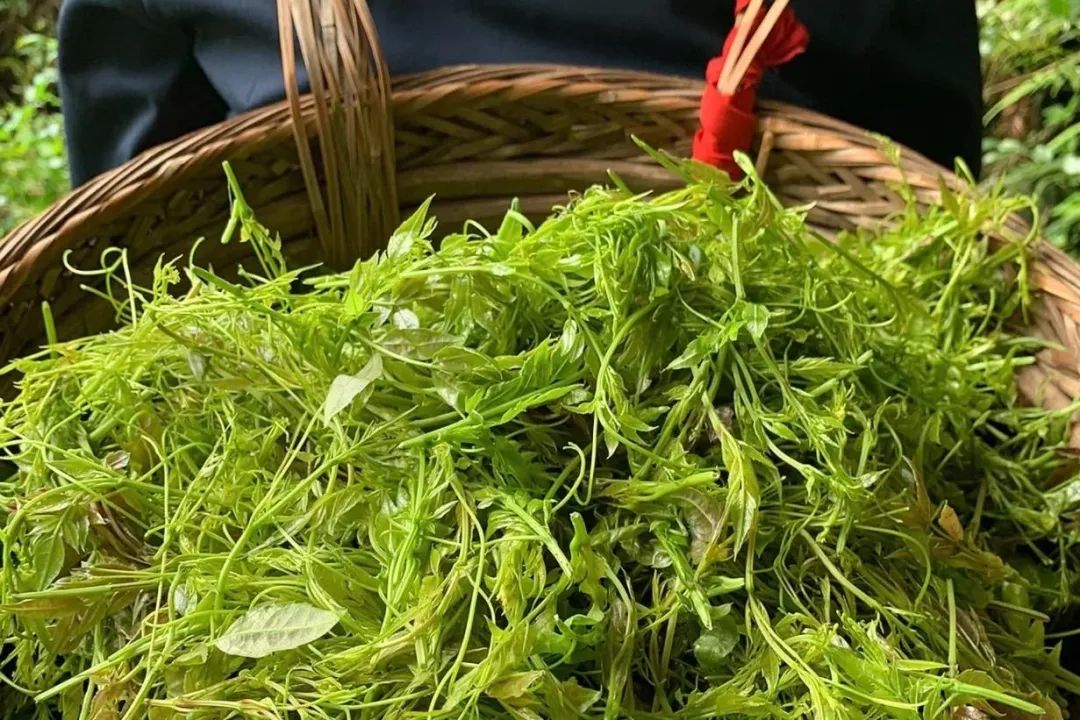 和硒对比的抗衰产品(硒对于抗癌有哪两个特点)-硒宝网