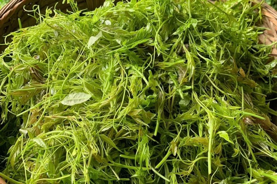 和硒对比的抗衰产品(硒对于抗癌有哪两个特点)-硒宝网