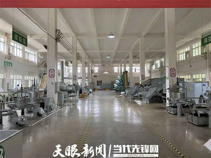 凤冈硒锌茶产品种类（凤冈锌硒茶有机茶价格）-硒宝网