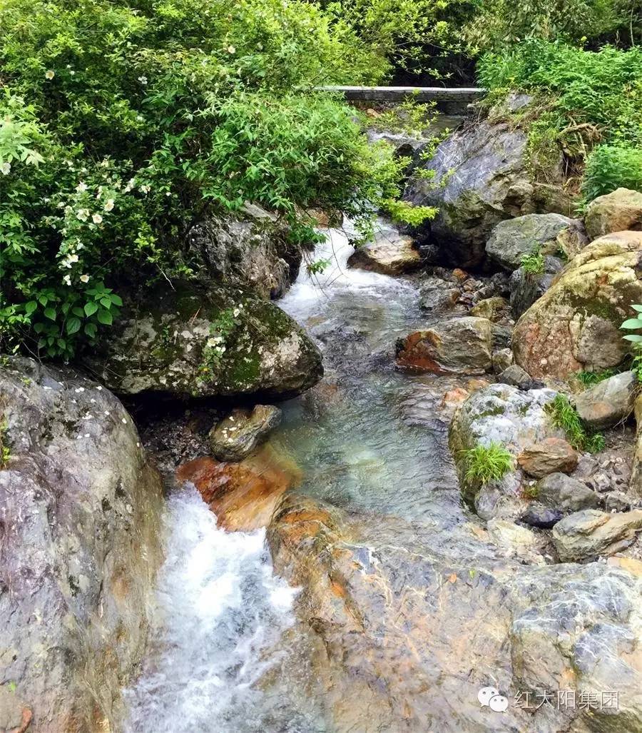 市面上硒产品有哪些（硒类产品）-硒宝网