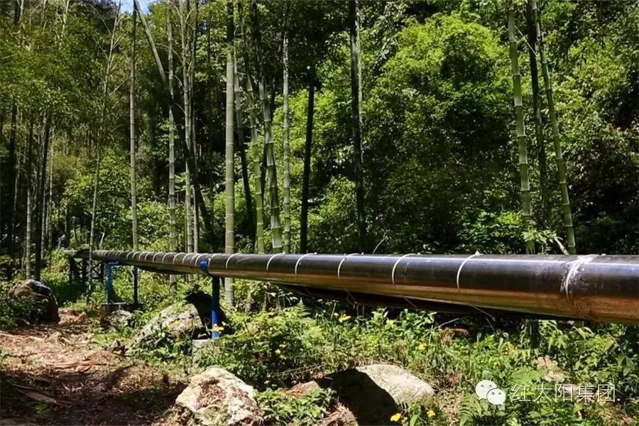 市面上硒产品有哪些（硒类产品）-硒宝网