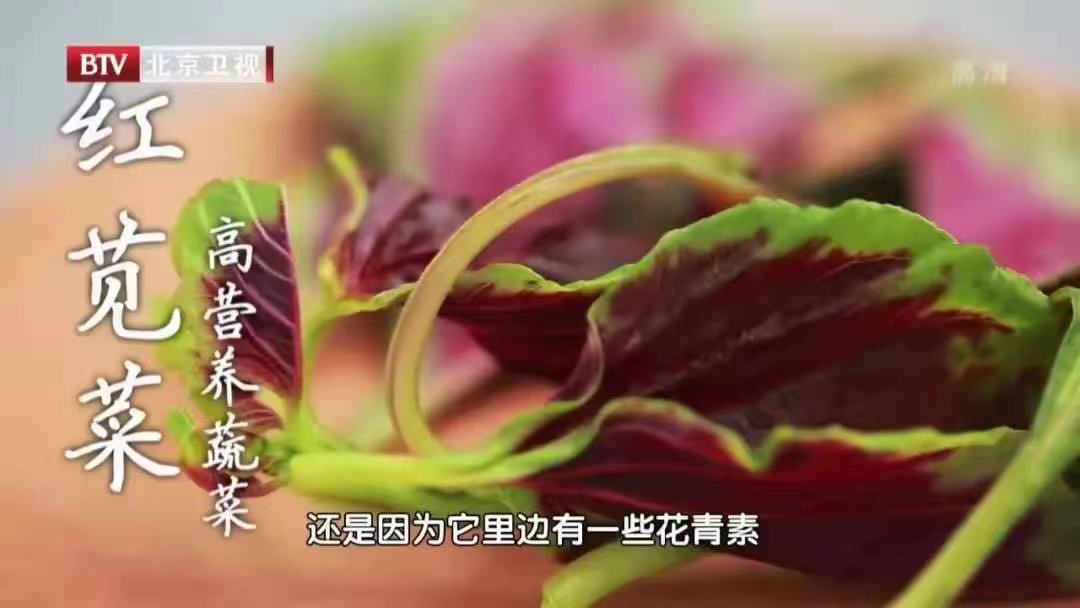 哪个季节补钙最好(什么季节补钙好)-硒宝网