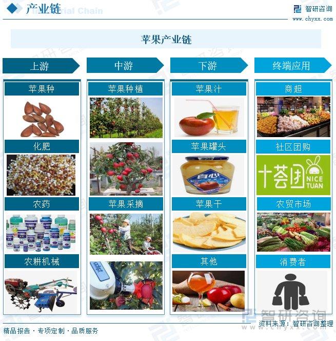 硒农产品 市场需求(富硒农产品市场需求)-硒宝网