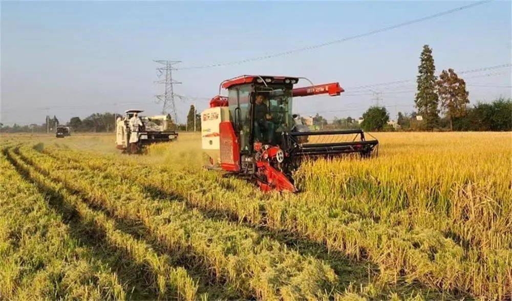 中国锌硒农产品之乡(锌硒旺企业简介)-硒宝网