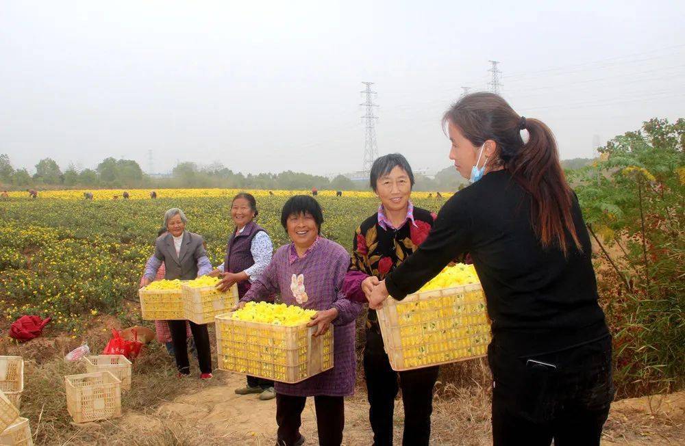 中国锌硒农产品之乡(锌硒旺企业简介)-硒宝网