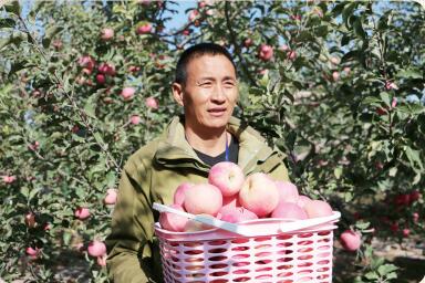 北京硒谷功能农产品（北京农科院硒粉多少钱一盒）-硒宝网